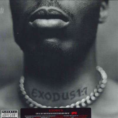 DMX - Exodus (LP)