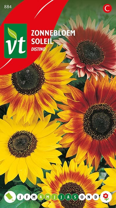 Zonnebloem 'Distino' - Robuuste, Grote Bloemen voor een Eyecatching Tuin
