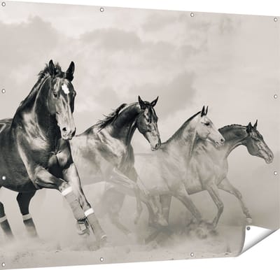 Gards Tuinposter Vier Paarden naast Elkaar - Zwart Wit - 150x120 cm - Tuindoek - Tuindecoratie - Wanddecoratie buiten - Tuinschilderij