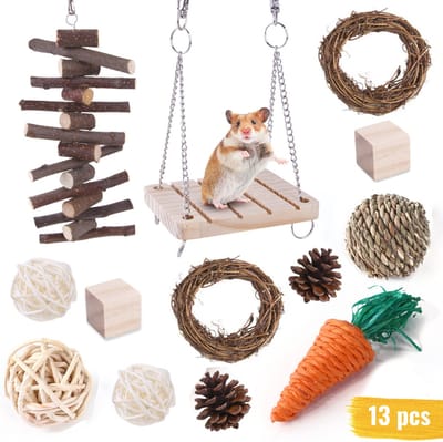 Knaagdieren Speelgoed Set - 13-delige Houten Speeltjes voor Hamsters, Cavia’s, Muizen, Ratten & Gerbils - Interactief Speelgoed voor Kooi - Natuurlijk en Veilig - Anti-verveel Pakket