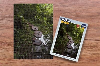 Puzzel Boomstam-weg over een beekje in het Nationaal park Manu in Peru - Legpuzzel - Puzzel 1000 stukjes volwassenen