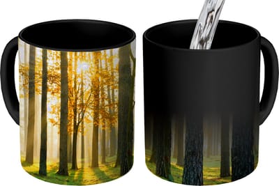 Magische Mok - Foto op Warmte Mokken - Koffiemok - Bos - Zon - Bomen - Gras - Landschap - Natuur - Magic Mok - Beker - 350 ML - Theemok