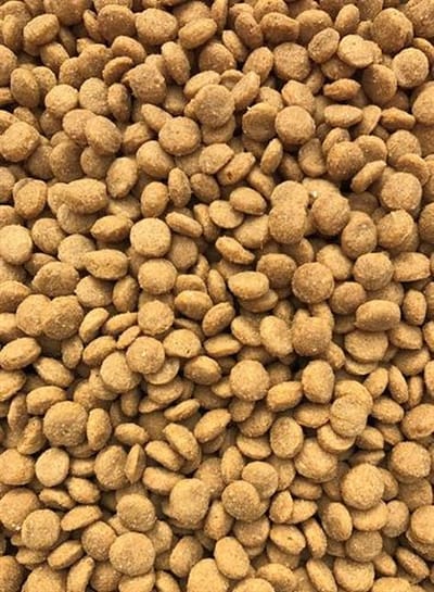 Kattenvoer Budget Premium - Senior Light 15kg - Lichtverteerbaar, Met Lam en Vis, Voor Gesteriliseerde Katten