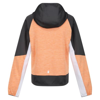 Regatta Kinder/Kids Prenton II Hooded Soft Shell Jacket (Abrikoosplet/Grijs)