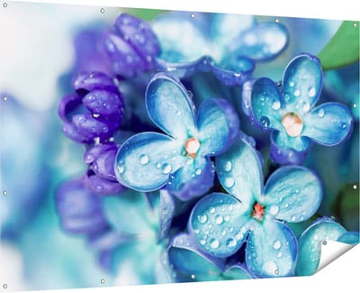 Gards Tuinposter Blauwe Lila Bloemen - Seringen - 180x120 cm - Tuindoek - Tuindecoratie - Wanddecoratie buiten - Tuinschilderij