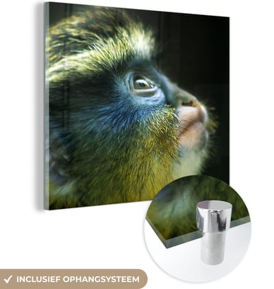 MuchoWow® Glasschilderij 50x50 cm - Schilderij acrylglas - Aap - Vacht - Zwart - Foto op glas - Schilderijen