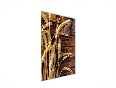 TMK ArtDeko - Snijplank Serie - Glazen Beschermplaat - 35x52 cm - Pszenica Motief