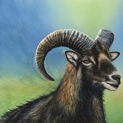 Diamond schilderij Cross Stitch geit schapen Diamond mozaïek dier borduurwerk 30x30CM gray