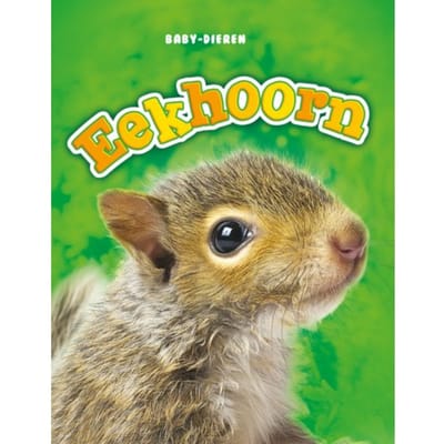 Eekhoorn - Baby-Dieren - Megan Borgert-Spaniol