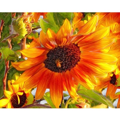 Diamond Painting Cross Stitch Zonnebloem Diamond Mozaïek Bloemenborduurwerk 20X30CM brown