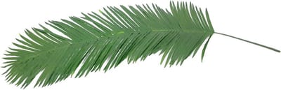 Kunstmatige Palm Tak - Nep Palmblad - Decoratie Huis - Hoogwaardig Duurzaam - 180 cm - Groen