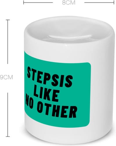 Akyol - stepsis like no other Spaarpot - Zus - geweldige zus - niemand anders - verjaardag - cadeau - kado - bedankje - geschenk - 350 ML inhoud