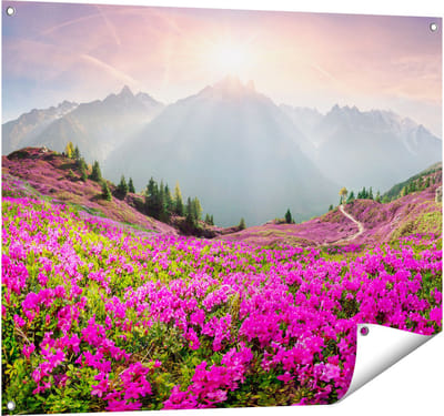 Gards Tuinposter Rhododendron Bloemenveld in de Alpen - 100x80 cm - Tuindoek - Tuindecoratie - Wanddecoratie buiten - Tuinschilderij