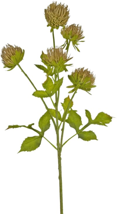 Easyplants | Kunstbloem Distel 66 cm bruin | Zijde | Nepbloemen | bruin | Onderhoudsvrij | Kant-en-klaar