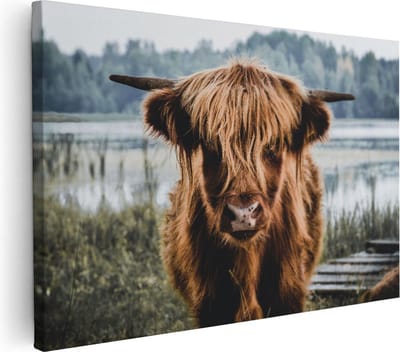 Artaza Canvas Schilderij Hooglander - 30x20 cm - Klein - Canvas Schilderijen Woonkamer - Muurdecoratie Natuur - Kamer Accessoires