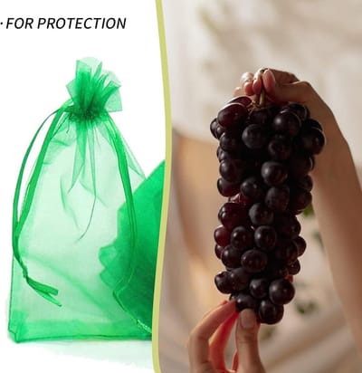 Allecto Plus - Fruit Beschermingszakken 30 stuks 20x30 cm | Tuin Organza Zakken met Koord | Bescherming tegen Wespen, Drosophila, Scarabs & Vogels | Groen