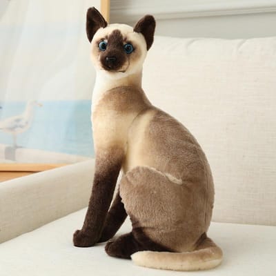 Gevulde Likelike Siamezen Katten Pluche Speelgoed Simulatie American Korthaar Schattige Kat Pop Huisdier Speelgoed Huis Decoratie Cadeau Voor Kinderen Verjaardag 20cm beige