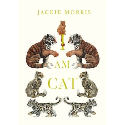 I Am Cat - Jackie Morris