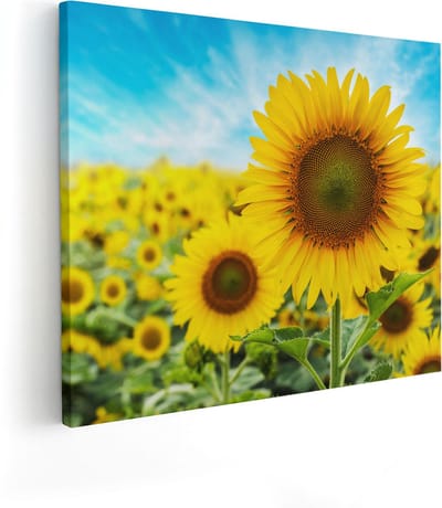 Artaza Canvas Schilderij Zonnebloem - 100x80 cm - Groot - Wanddecoratie Bloemenveld - Muurdecoratie Woonkamer - Decoratie Natuur