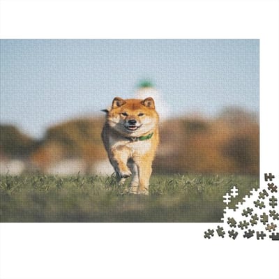 Foto Puzzel - Persoonlijke Legpuzzel - Ontspanning Thuis - Maatwerk Ontwerp Mogelijk - 1000 Stukjes