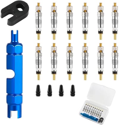 Ventiel Reparatie Set - Fiets Ventiel Kern - Fiets Onderhoud - 18 Delige Set - Compact Formaat - Blauw