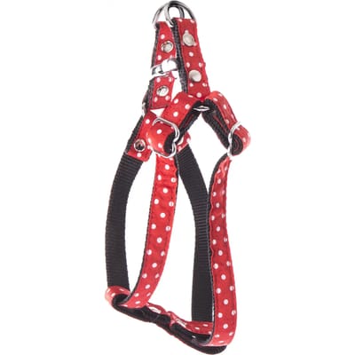 Harnas voor honden met stippen Martin Sellier XS