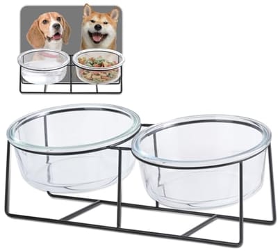 Verhoogde voerbak voor honden en katten met dubbele glazen kommen, 850 ml