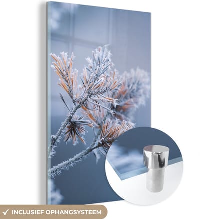 MuchoWow® Glasschilderij 120x180 cm - Schilderij acrylglas - Dennennaalden - Planten - IJs - Sneeuw - Winter - Foto op glas - Schilderijen
