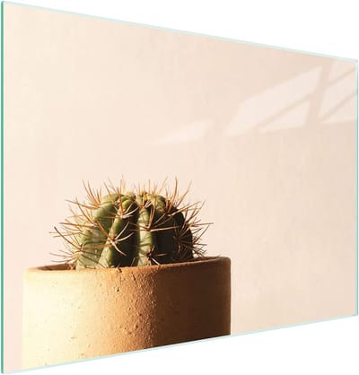 Glazen Werkblad - Kookplaat Afdekplaat - Keuken Beschermen - Gehard Glas - 30 x 22 cm - Cactus Print