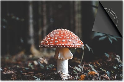 Inductie beschermer 60x60 - afdekplaat inductie mat - Dietrix Kookplaat beschermer - Exclusief - Herfst - Paddenstoel rood met witte stippen