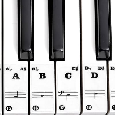 Piano Stickers - Kleurvolle Toetsstifters voor 61 & 88 Toetsen Keyboard - Muzieknoten Leren voor Beginners