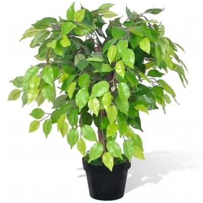 vidaXL - Kunst - vijgenboom - met - pot - 60 - cm