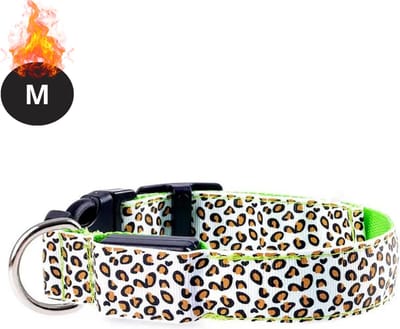 Bovista Lichtgevende Halsband - Verlichte Halsband - Lichtgevend - Hond - Kat - Lampje - Hondenhalsband Led - Oplaadbaar - Groen - M