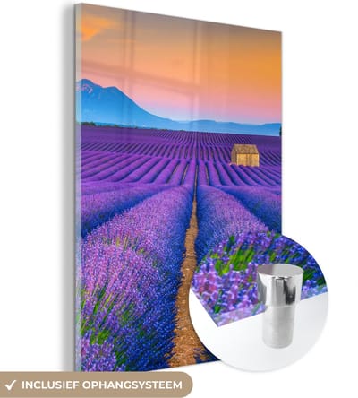 MuchoWow® Glasschilderij 30x40 cm - Schilderij acrylglas - Lavendel - Paars - Bloemen - Foto op glas - Schilderijen