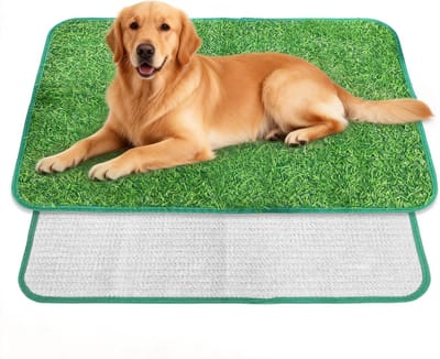 Hondentoilet Set - Herbruikbaar Plasmat - Zindelijkheidstraining - Natuurgras Textuur - 46x70 cm - Groen