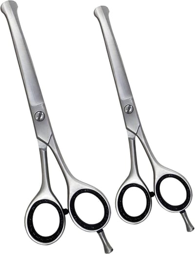 Guardian Beauty Scharenset - 4,5 en 5,5-Inch - Roestvrij Staal - Ronde Veiligheidstip - Hondentrimscharen met Etui