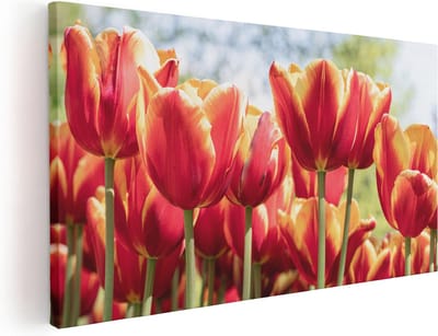 Artaza Canvas Schilderij Tulpen - 40x20 cm - Klein - Wanddecoratie Bloemen - Muurdecoratie Lente - Schilderijen Op Canvas