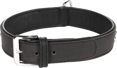Flamingo Atlanta Gevoerd - Halsband Honden - Halsband Atlanta Zwart L 41-50cm 35mm - 1st - 124139 - 1st