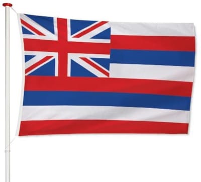 Hawaiiaanse Vlag Hawaï 100x150cm - Kwaliteitsvlag - Geschikt voor buiten