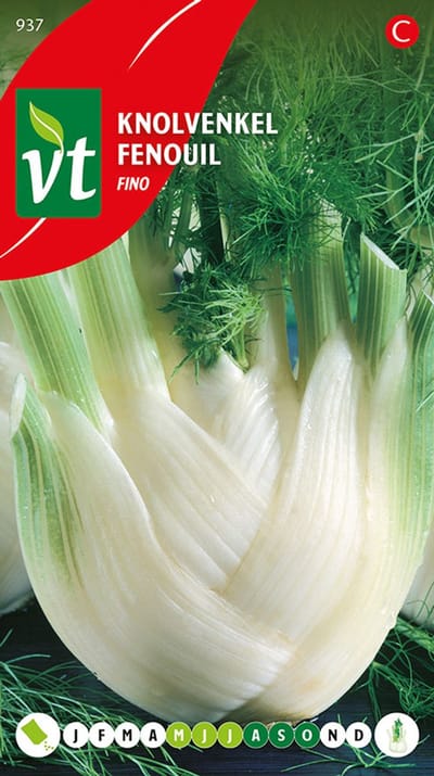 Knolvenkel Fino Zaden - Veelzijdige Groente, Volledig te Gebruiken in de Keuken