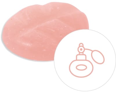 Scentchips® Invincible - Geurblokjes - Huisparfum - Geurchips - Waxmelts - Geschikt voor Geurbrander en Waxbrander - S - 8 Stuks