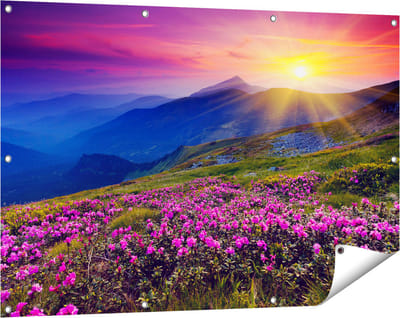 Gards Tuinposter Roze Rhododendron Bloemenveld - Bergen - 120x80 cm - Tuindoek - Tuindecoratie - Wanddecoratie buiten - Tuinschilderij