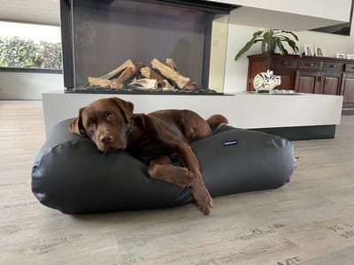 Dog's Companion Hondenkussen / Hondenbed - S - 70 x 50 cm - Kunstleer - Zwart Leather Look
