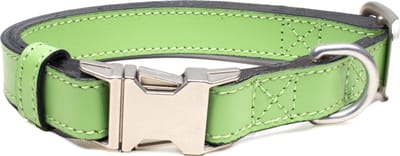 Luxe Halsband voor Honden - Echt Leer / Leder Reflecterend Verstelbaar 26 Cm-40 Cm x 2 Cm-Groen