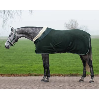 Qhp Zweetdeken Qhp Brilliance Groen - 135/185