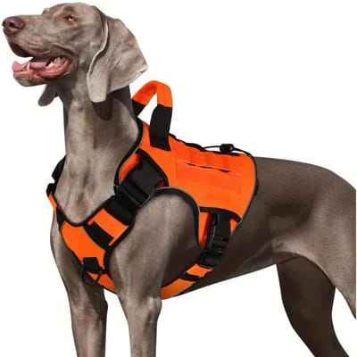 Verstelbaar Anti-Trek Tactisch Hondentuig Met Handvat Reflecterend Militair Vest Voor Grote Honden Labrador (Orange,S) oranje