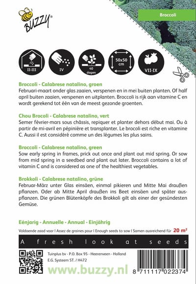 Buzzy® Broccoli Calabrese natalino, groen