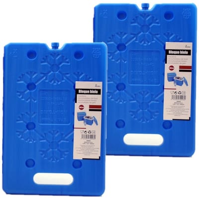 Set van 2x stuks koelelementen 20 x 2 x 30 cm blauw - Koelblokken/koelelementen voor koeltas/koelbox