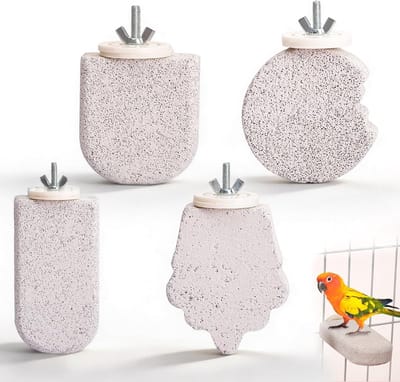 Set van 4 Vogelzitrails van Natuursteen voor Parkieten, Natuurlijke Knabbelstaaf, Beak Care en Speelplezier
