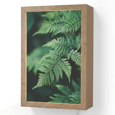 Wandlamp 20x30 cm - Oplaadbaar - Varenblad - Groen - Structuur - Wazig - Wandlampen binnen woonkamer - Slaapkamer lamp met kabel - Decoratieve nachtlamp - Vloerlamp snoer
